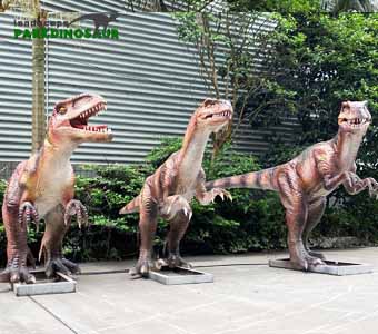 Népszerű életméretű Velociraptor a bemutatóhoz